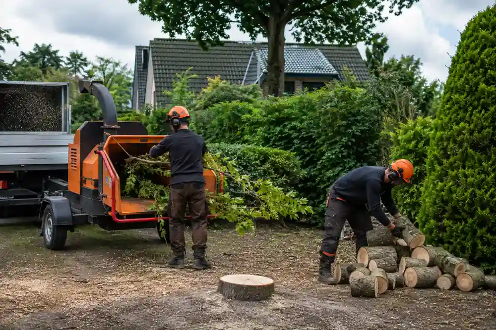 Boomverzorgers verwerken takken en gezaagde stamstukken