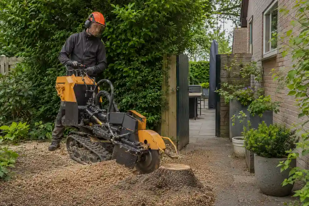 Stobbenfrees verwijdert een boomstronk laag voor laag